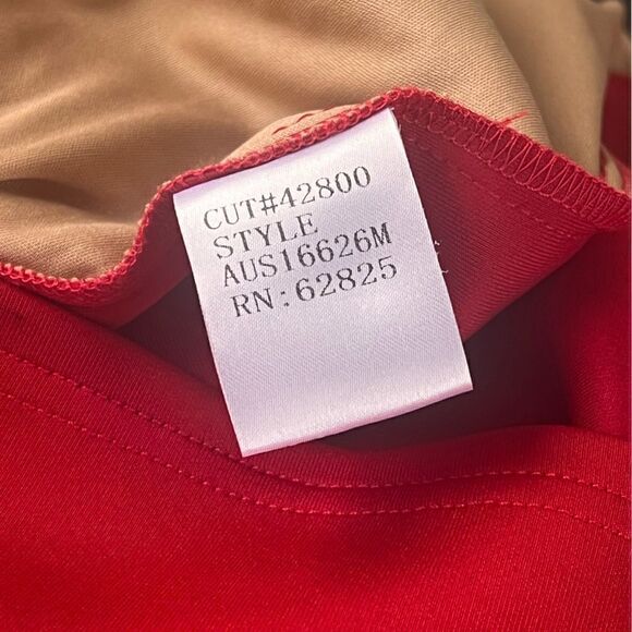 Tadashi Shoji Edie Red Rock Nude Neoprene Embroidered Lace panel Dress L - Picture 4 of 5